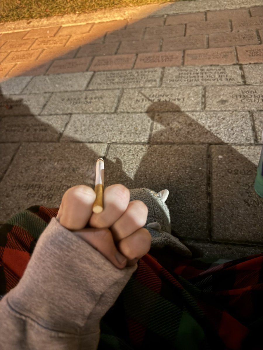 coyotemoder's tweet image. 