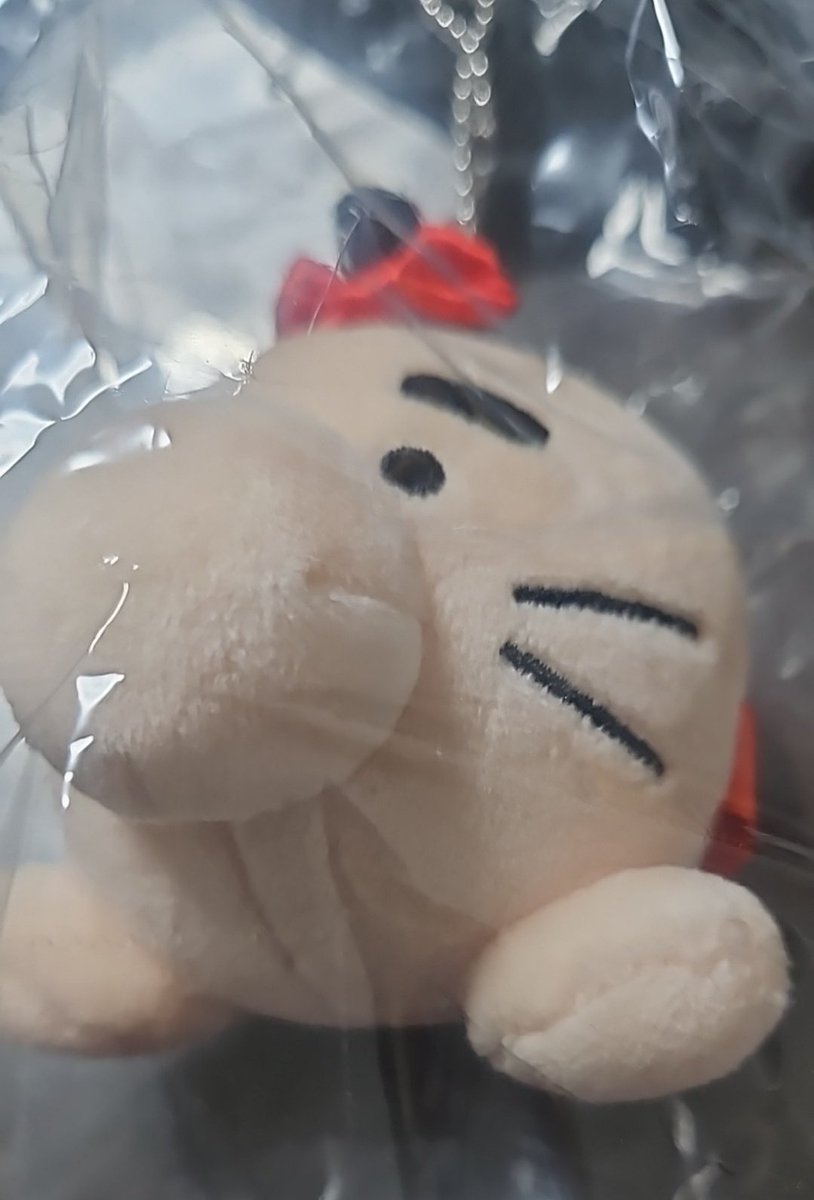 TLでどせいさんのクッキー缶見かけてめちゃくちゃ欲しくなってしまう注文したやつが届いた　注文時よく見なかったけどこのクッキーめちゃ好きなやつだ〜やったあ　あとどせいさんのもちもちしたやつが届きました　揉みます