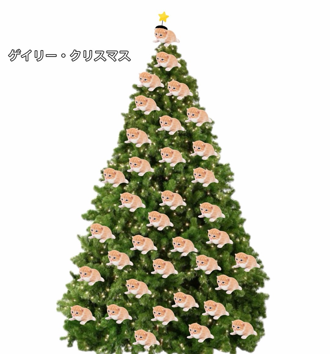 gary Korea (@higarykorea__) on Twitter photo 