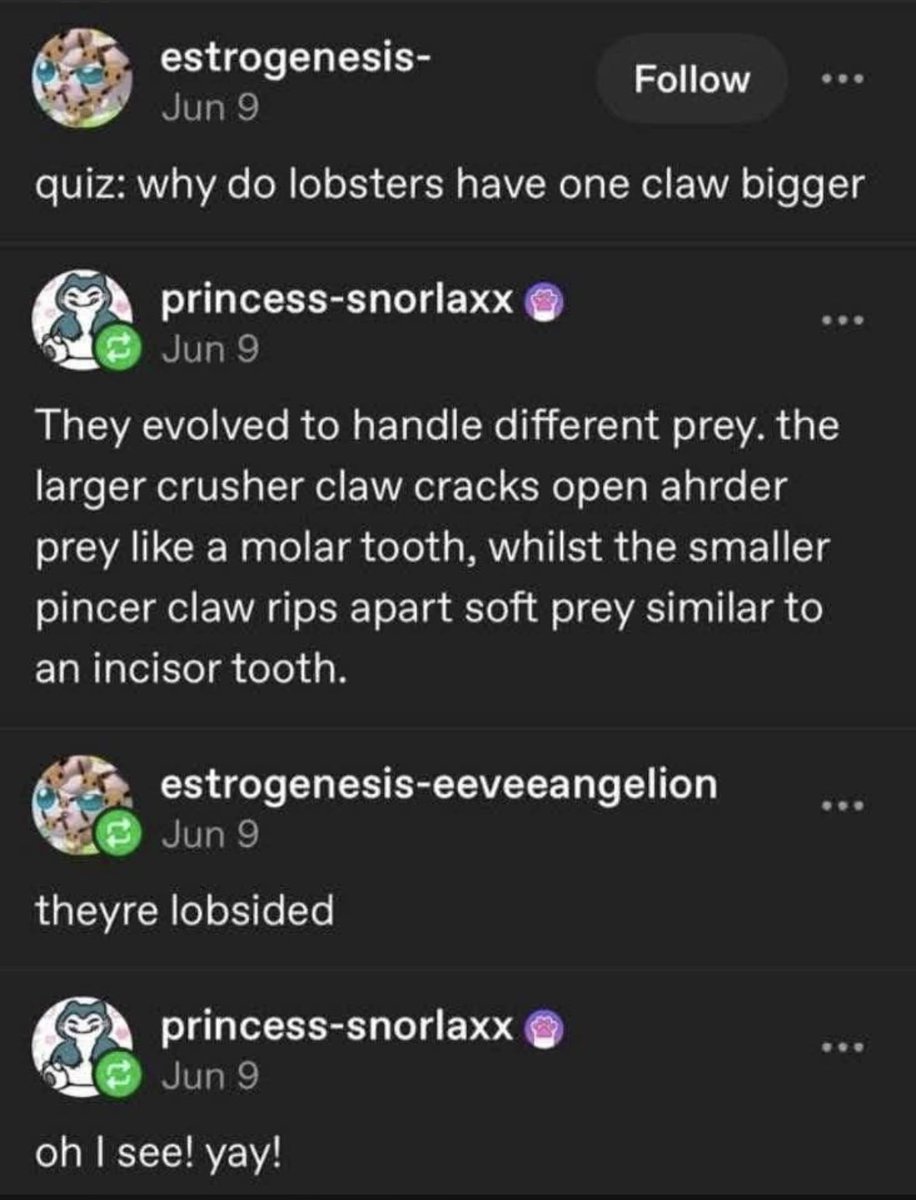 ADHD Memes (@adhdforreal) on Twitter photo 