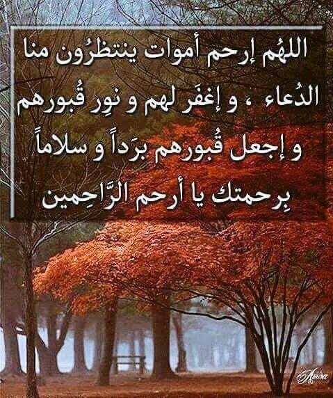 حكيم زمانه tweet media