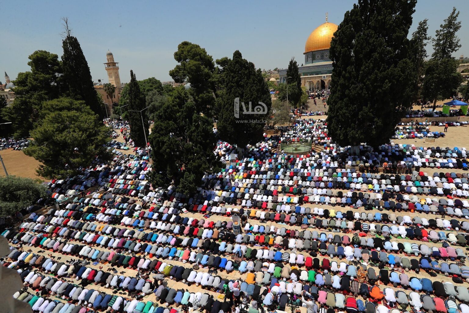 عشرات آلاف المصلين يؤدون صلاة الجمعة في الأقصى #القدس 