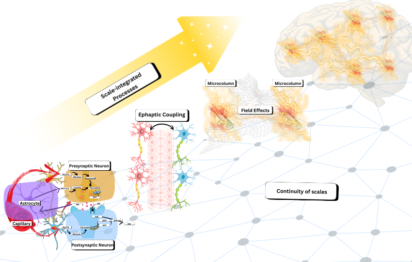 Jaan Aru tweet media