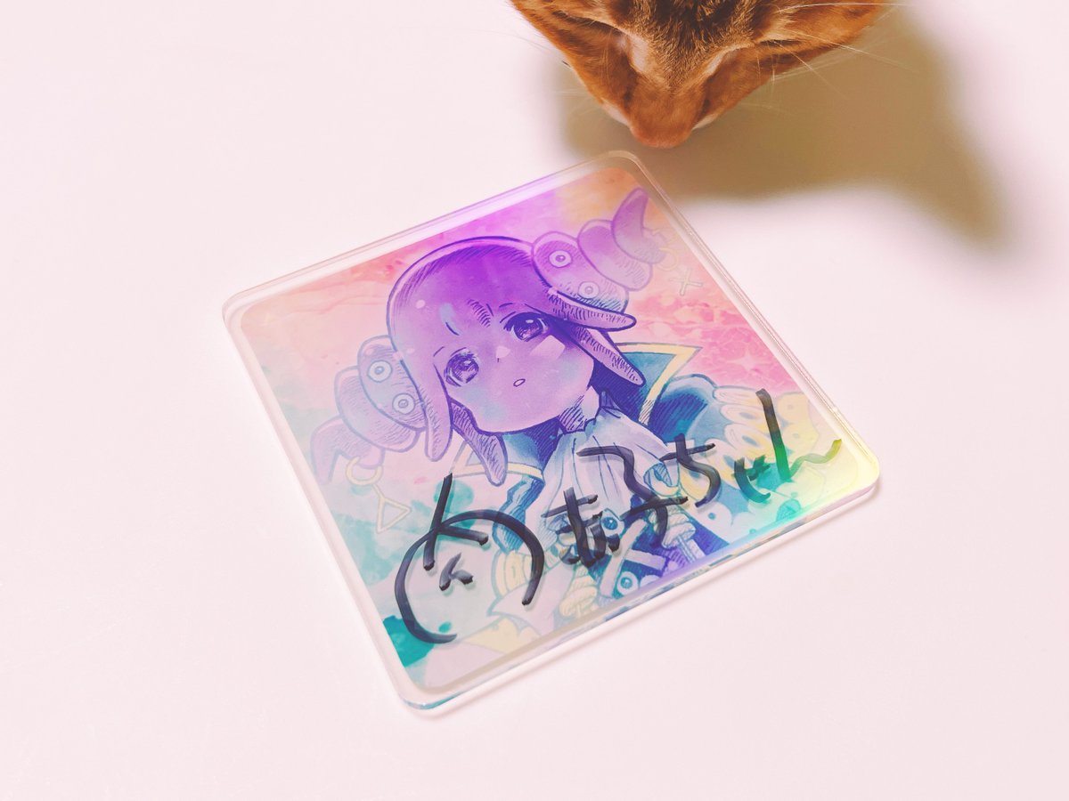 5月のイベントの時トリアンさんで使われていて後に肉赤子ちゃんが