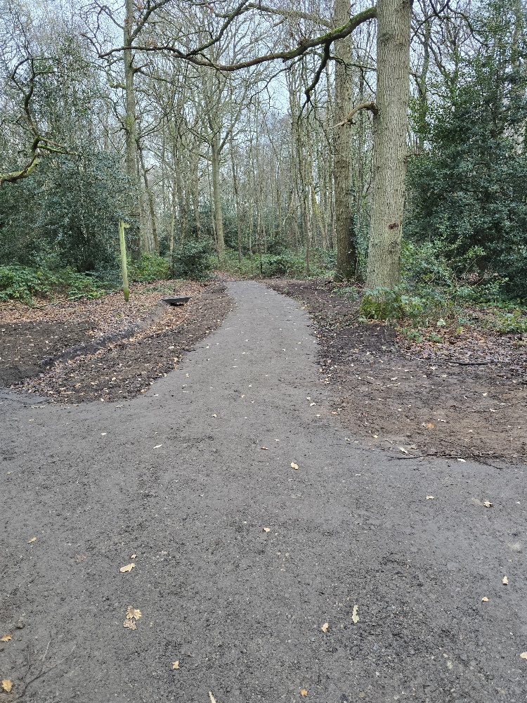 Elmbridge BC tweet media