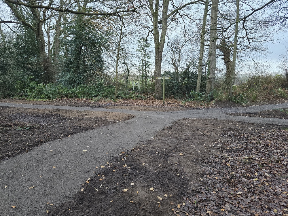 Elmbridge BC tweet media