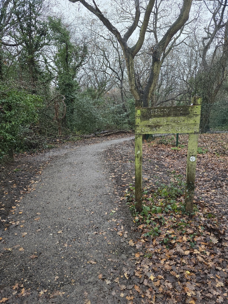 Elmbridge BC tweet media