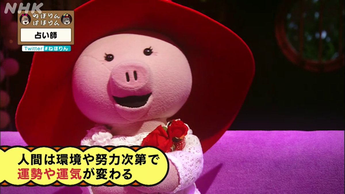 YOUさん「占いを超越してますね!」 アンコール【占い師🔮】 末期がんの