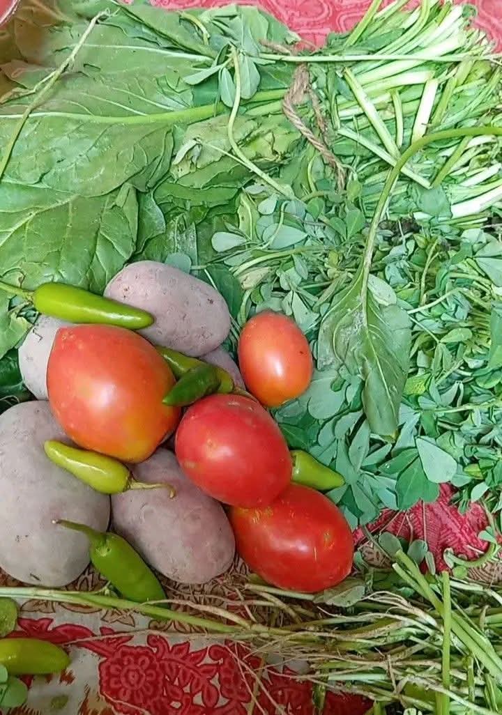 SADAQAT ALI tweet media