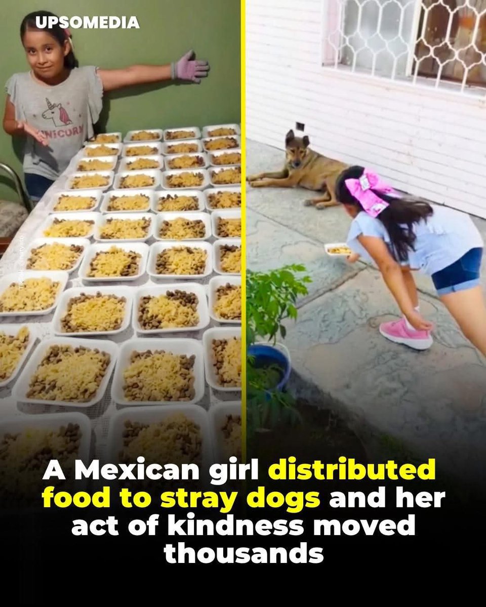 A little girl in Mexico has captured the hearts of thousands on social media after spending a day handing out kibbles to dozens of stray dogs. Her mother shared the touching moment on TikTok, where the girl is seen joyfully fulfilling what her family described as a "dream" of