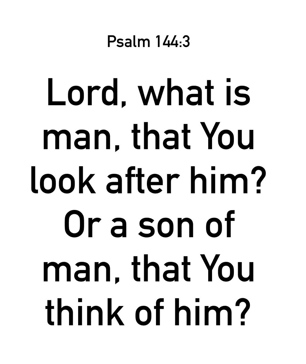 MarkDClements's tweet image. #votd