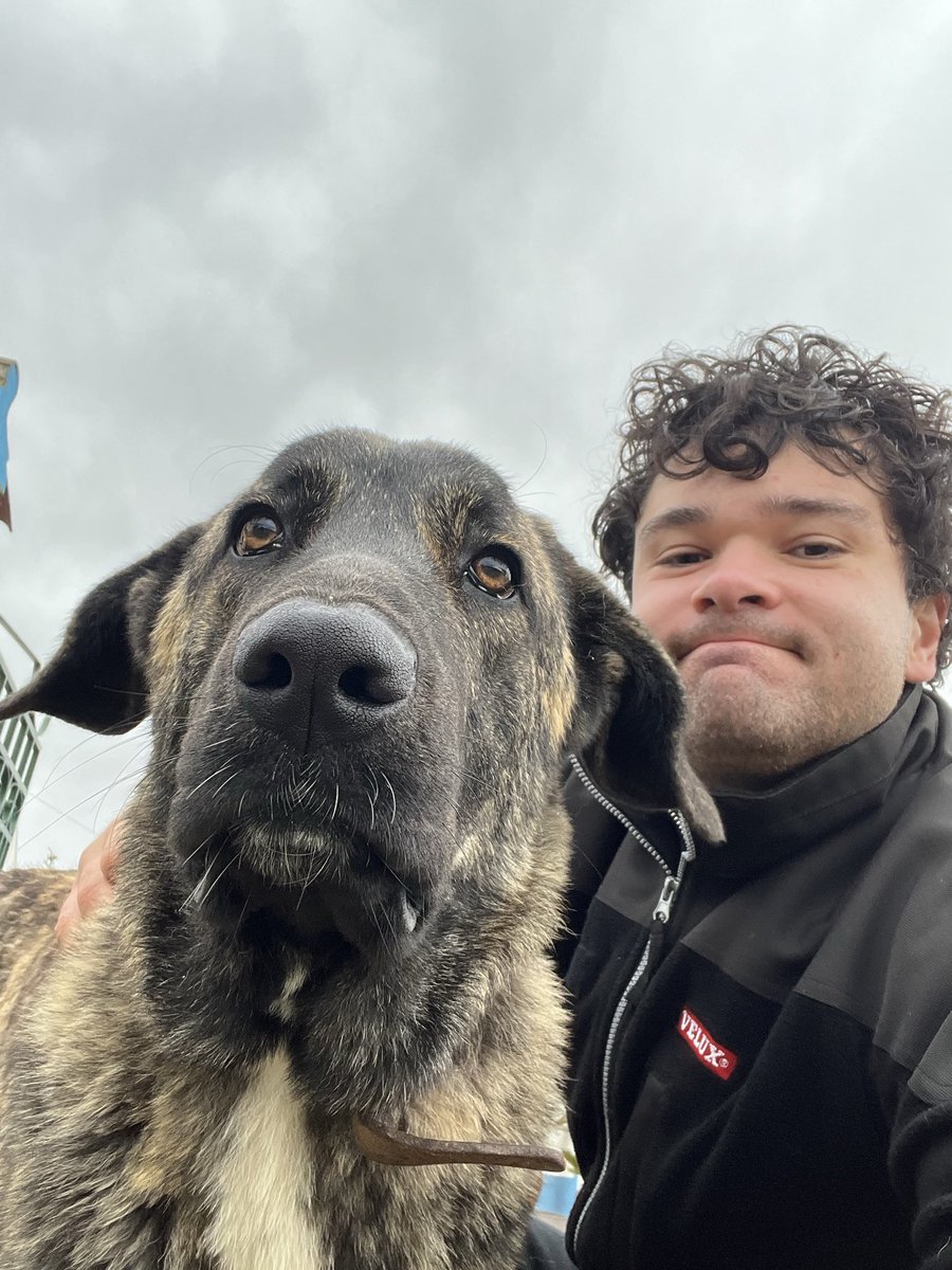 Vassili8's tweet photo. Happy to spend offseason with one of my best friends! Missed you Zorro! 🐶🇵🇹🎄🎅🎆🎾🔋 https://t.co/39tGcYgR8U
