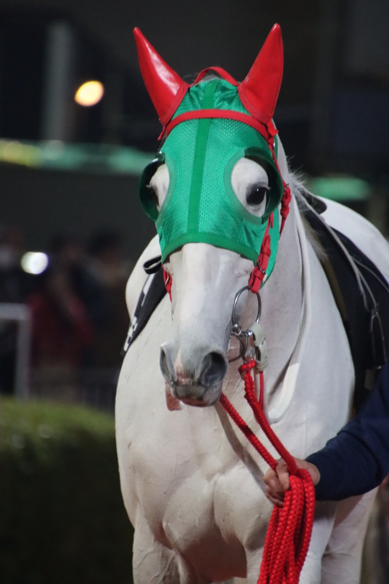 エド4世 (@edward4th66) / Posts / X