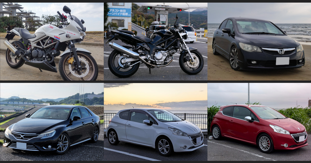 ぷもぺ🥗 tweet media