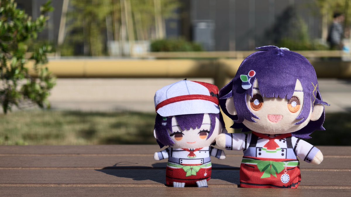 ぷもぺ🥗 tweet media