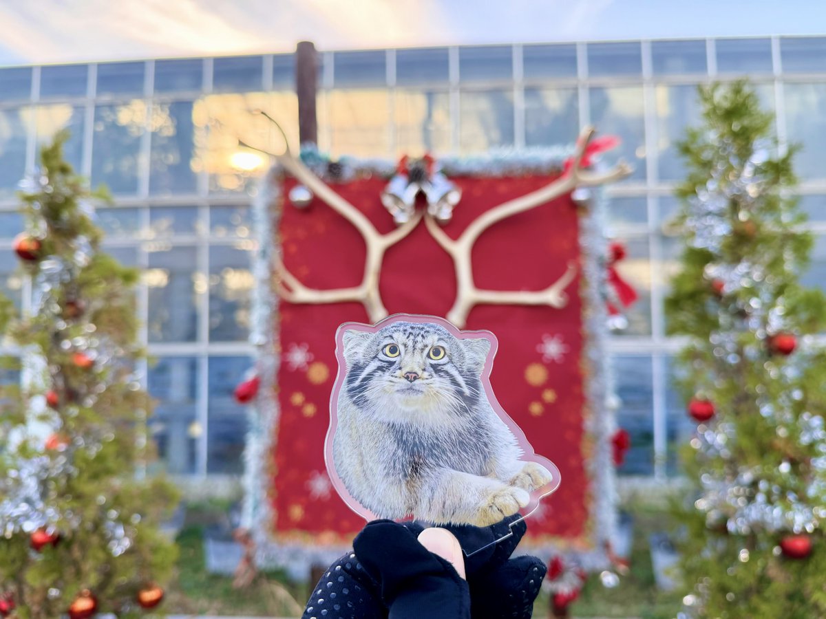 🎄ナゴムくん🎄