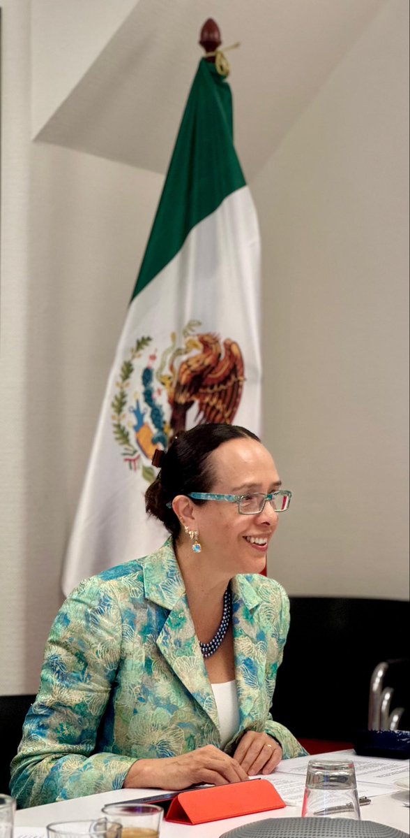 MisionMexOI's tweet image. México y el @ICRC reactivaron el Mecanismo Regular de Consultas Bilaterales para analizar los impactos humanitarios del uso de las #TIC en conflictos armados y fortalecer la cooperación en favor de la protección de la población civil. 🧵