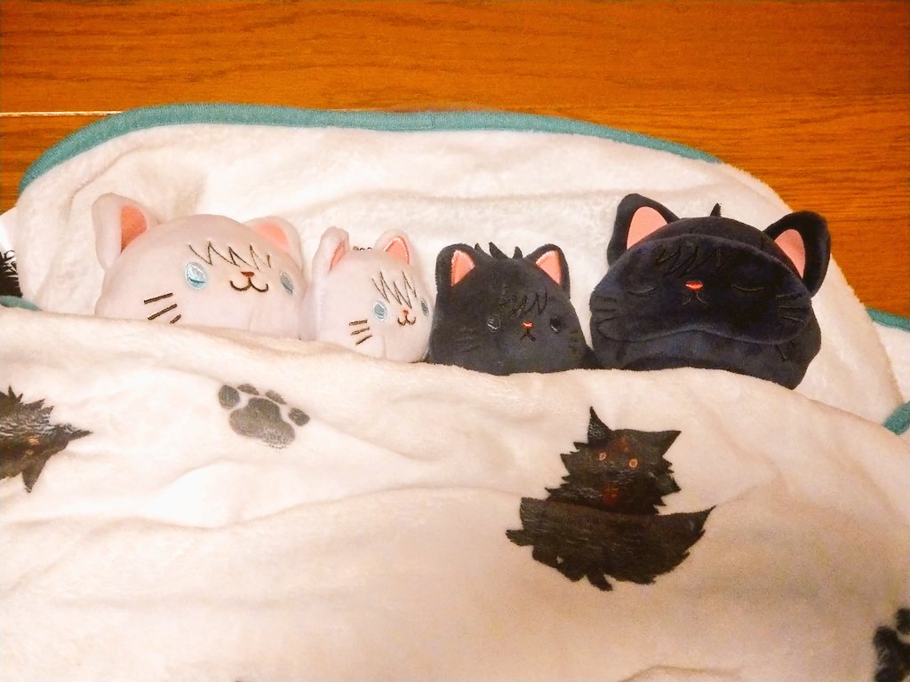 トコトコ🐾 (@ToKoToKo3o) / Posts / X