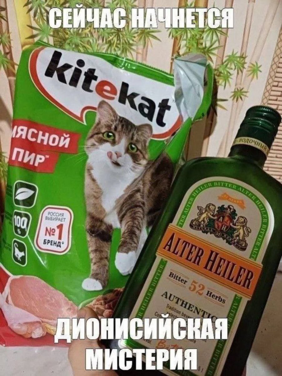 m13tfz08k's tweet image. 