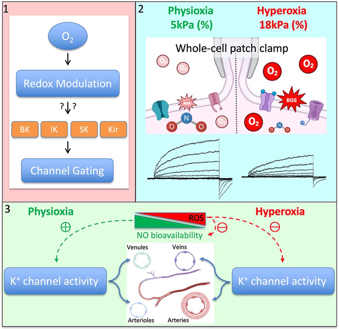 Giovanni E Mann tweet media