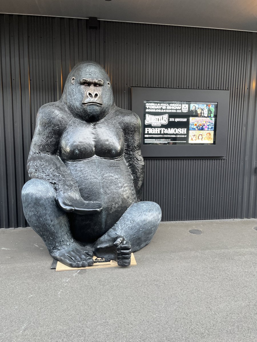 2025/3/13 FIGHT&MOSH ゴリラホール 久しぶりのゴリラホール！ ヤバT＆