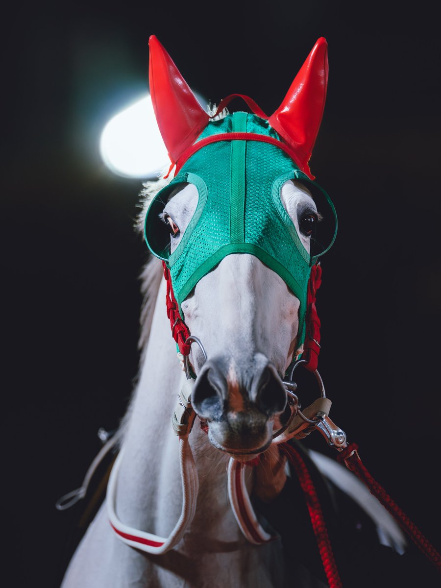 めちゃくちゃ白くなったね。 いつ以来だろうか。会えて嬉しいよ。 2025