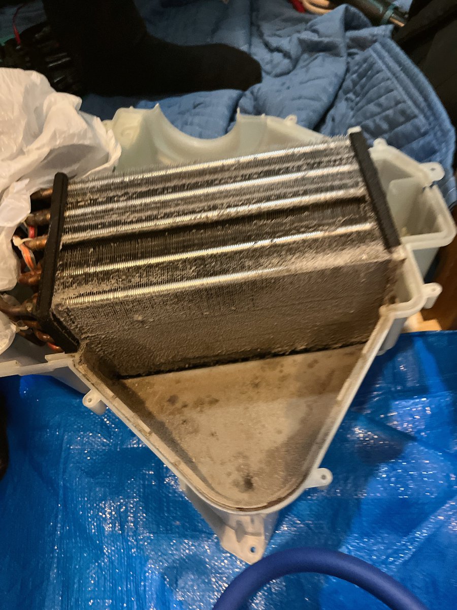 おーさか（旧osaka） tweet media