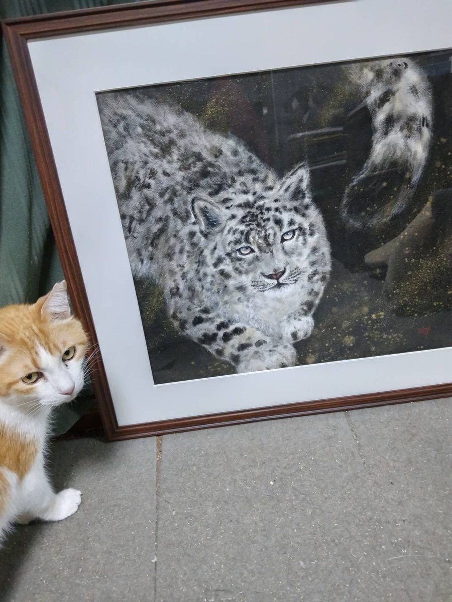作家様 ユキヒョウ 豹 ヒョウ 絵画 水彩画 手描きイラスト 猫 原画 一点もの ユキヒョウ❣️ 地元の画家である矢倉広菜さんの描かれる動物の眼が