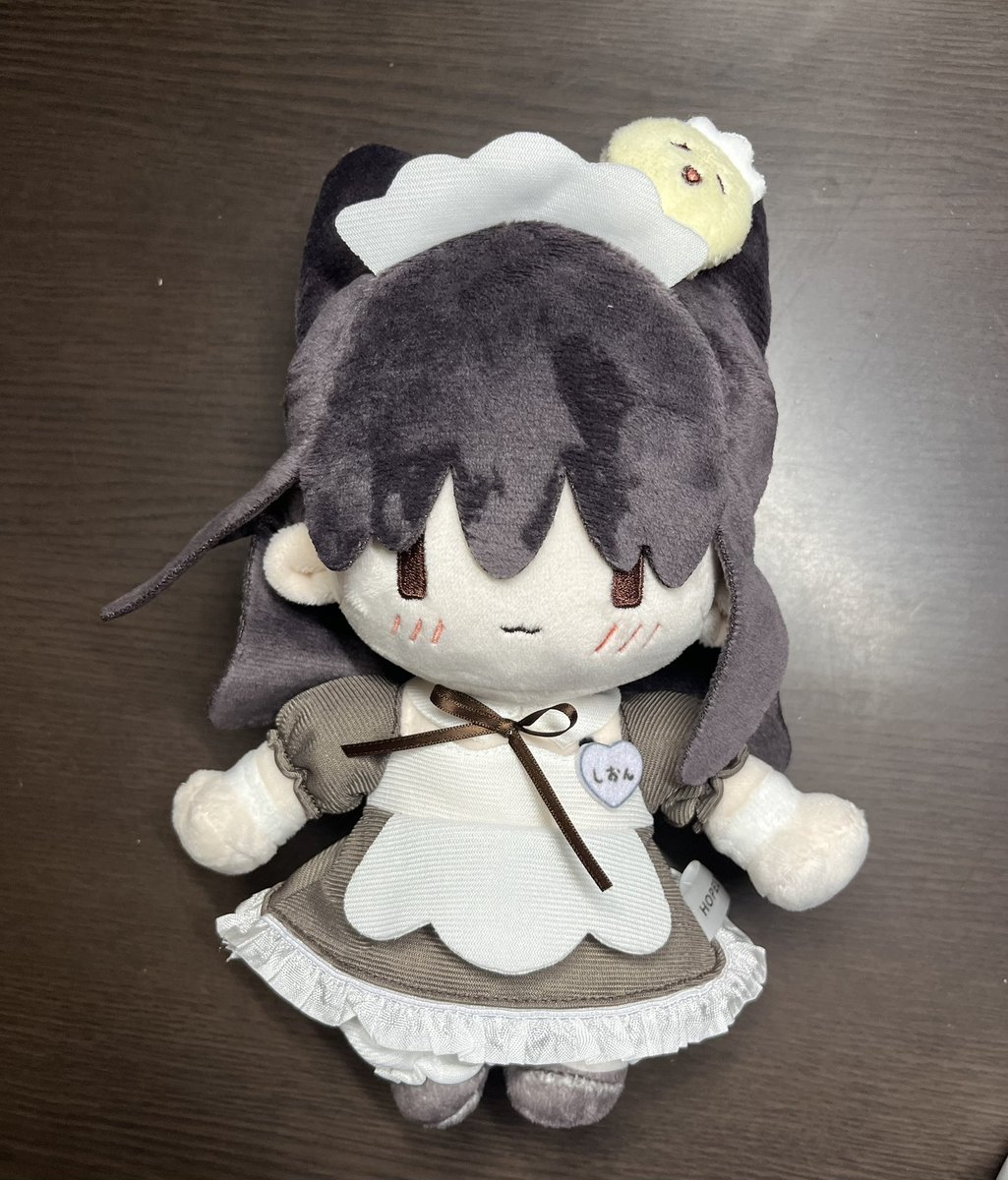 しおんちゃんぬい届きました！！一生大切にします！！！
