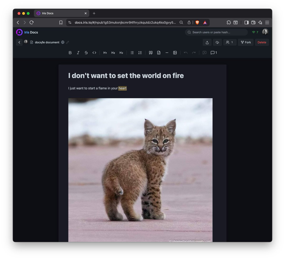 marttimalmi's tweet photo. Collaborative docs editor, decentralized on nostr &amp; content addressed storage https://t.co/jryQgjcjzl