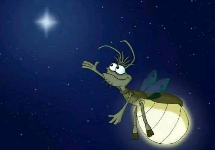 AndyBloom79's tweet image. ❤️✨