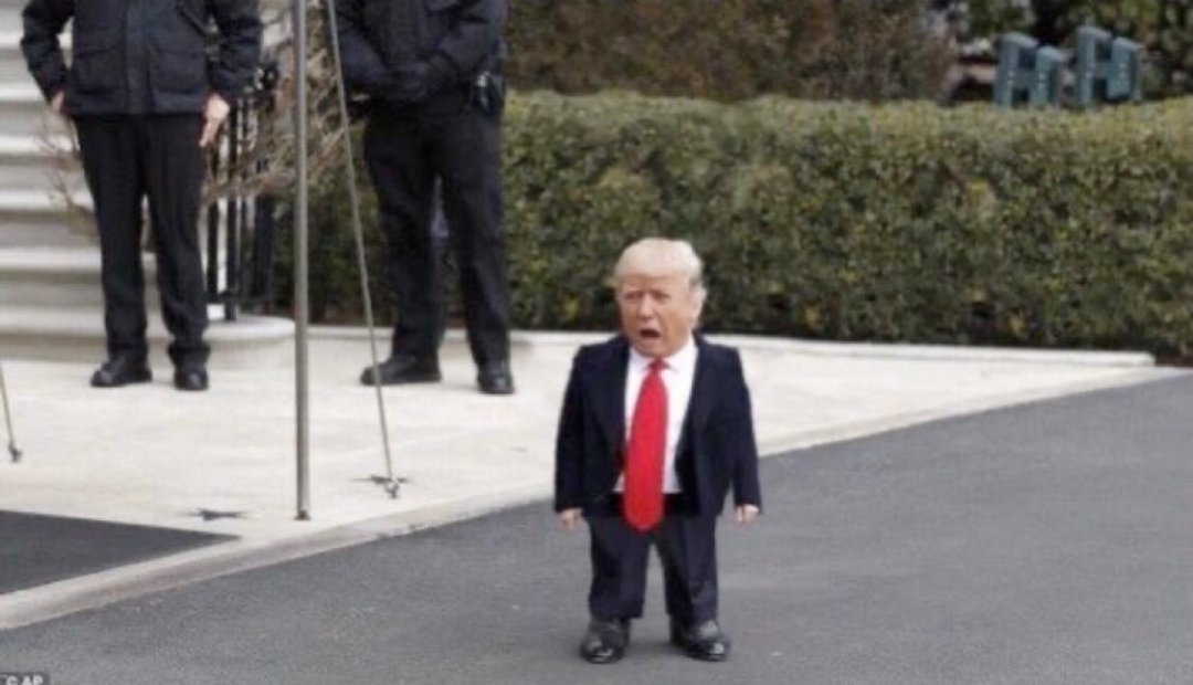 SoloFlow786's tweet photo. @PressSec Is anyone pettier and/or more cowardice than Trump? Acting outwardly ‘presidential’ but just can’t bring himself to rise to the occasion? He is unequivocal loser despite all access in life.
The depth of Trump’s insecurity, selfishness and loathsome is simply awesome.
#TinyTrump https://t.co/UWqOvL2gDk