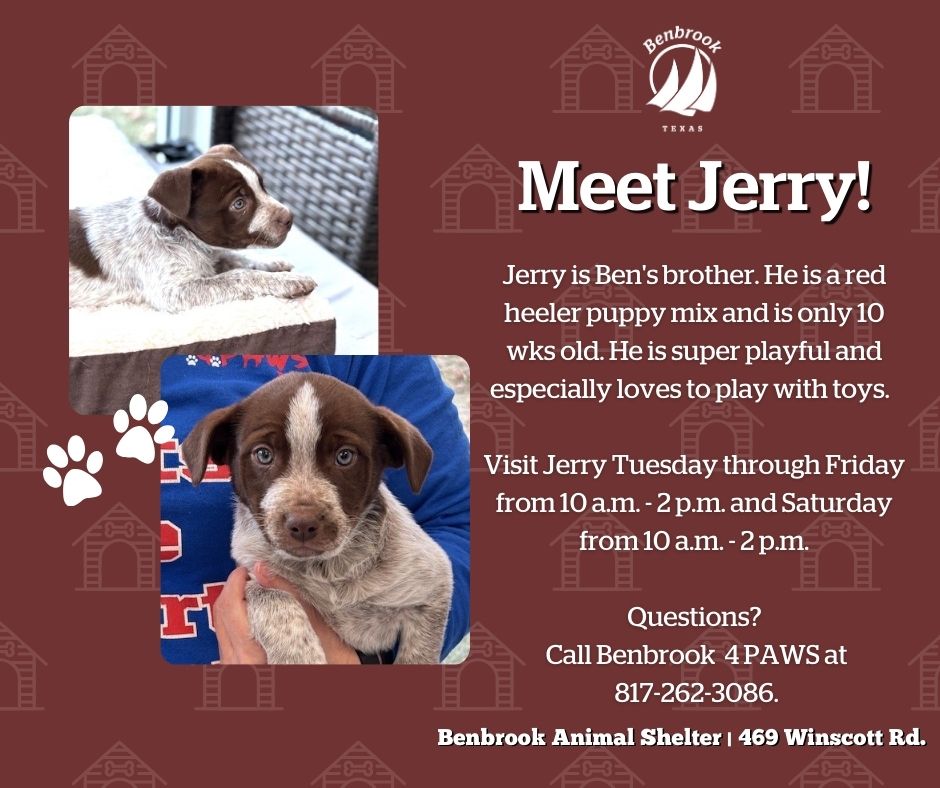 City of Benbrook, TX tweet media