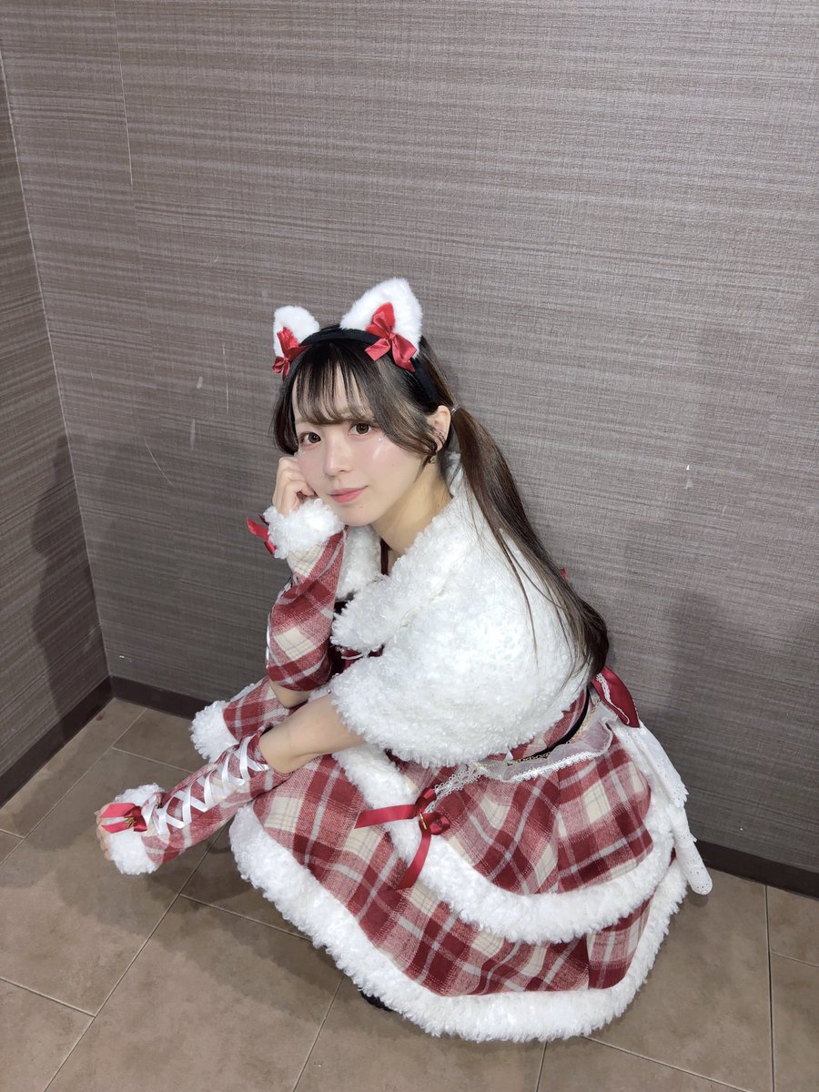 ねえねえ、猫ちゃんサンタどう〜？？🎅🏻🎀💖