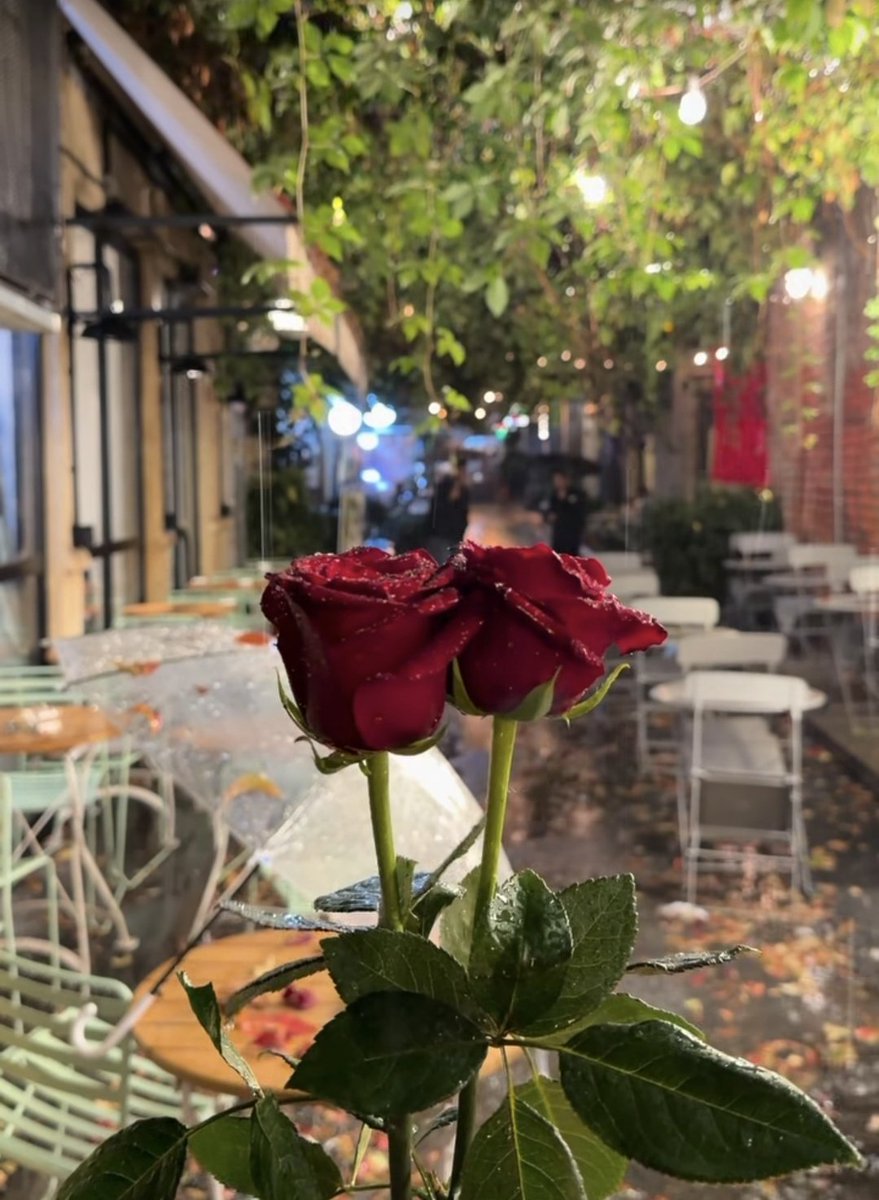 Uçmak için  
kuş olmak gerekmiyor.
Küçük sevinçler olsun yeter.

Cemal Süreya 

Mutlu akşamlar 
❤️☕️☕️❤️