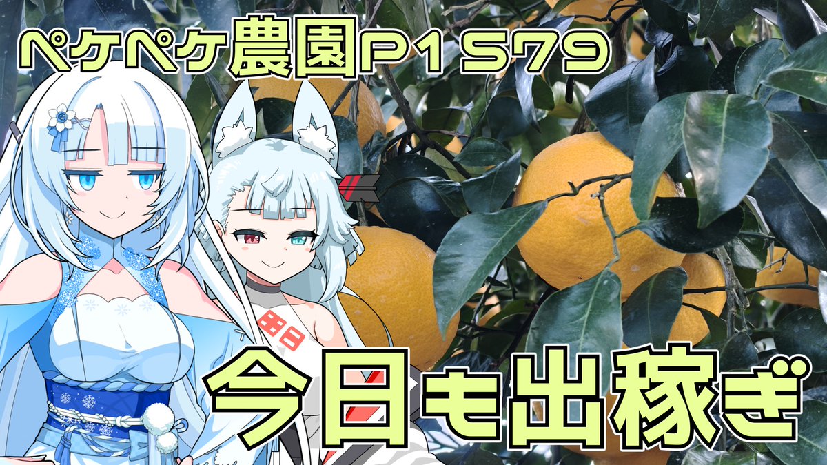 M.Fumi (@m_miharu) / Posts / X