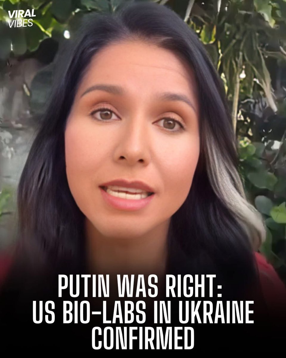 bocharik tweet media