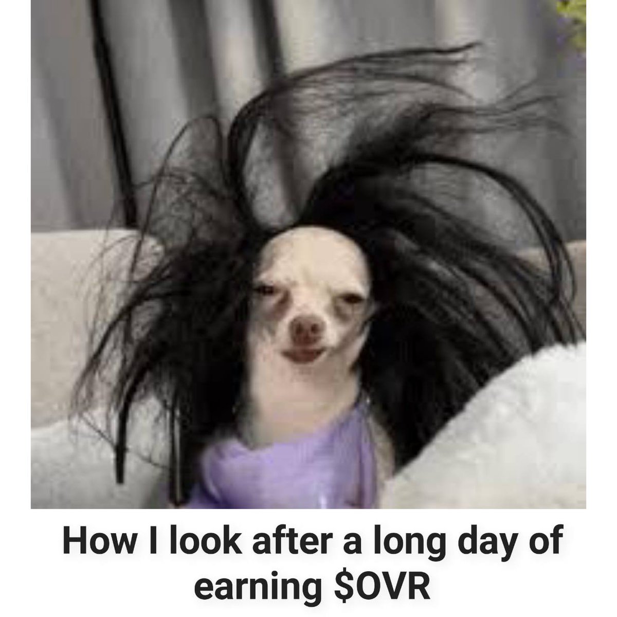 puxcina's tweet image. Creators shouldn’t just feed platforms, they should benefit as the platform grows.

That’s what makes #Map2Earn on @OVRtheReality feel different to me. You map real places, earn $OVR, and actually take part in building infrastructure for AR, AI, and robotics. The value isn’t