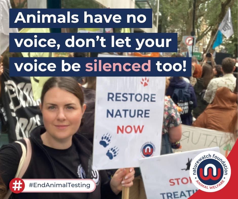 domdyer70's tweet image. We’re not out yet! The government is continuing to push through a law change that will add facilities linked to animal testing to a protesting ‘ban’ under the Public Order Act. 

Please continue to share and spread the word via this Nature Watch  link. This is important. It isn’t…