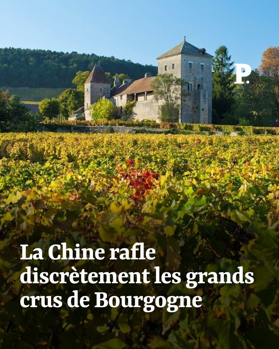 LePoint's tweet image. Grâce à de savants montages financiers, plusieurs hectares, parmi les plus prisés, sont passés sous le contrôle de riches Chinois, au détriment des investisseurs locaux.

Par @Dupont_LePoint
➡️ l.lepoint.fr/ADb