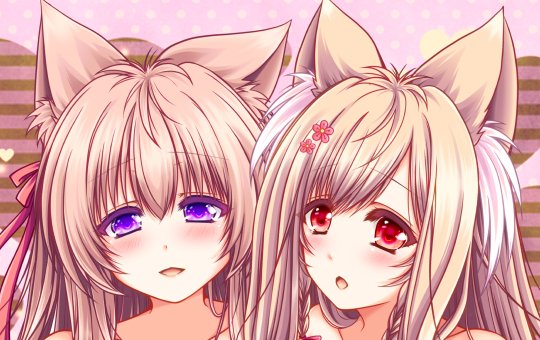 今度の冬コミで頒布するタユタマの新刊がメロンブックスさんでの委託申請が通って、現在予約が開始されております!コミケ当日に来られない方は良ければ委託のご利用をよろしくお願い致します!(ノ*' ')ノ 
単品⇒https://t.co/Epr3QgWdQI
セット⇒https://t.co/eCGDXiDOBt 