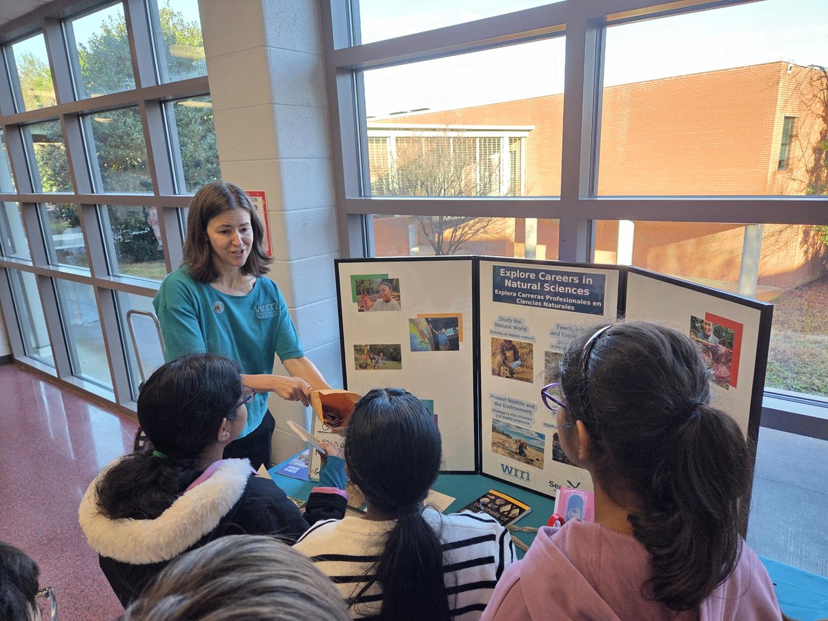 Martin GT Magnet MS tweet media