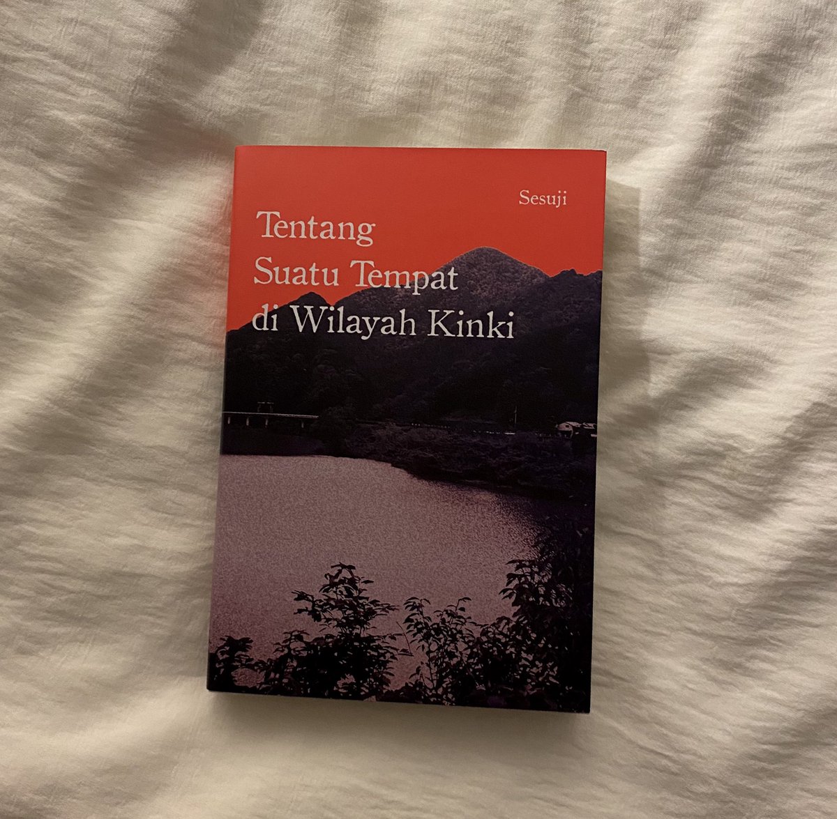 saetryi's tweet image. CURRENT READ:
TENTANG SUATU TEMPAT DI WILAYAH KINKI
by SESUJI
⠀• 378 pages