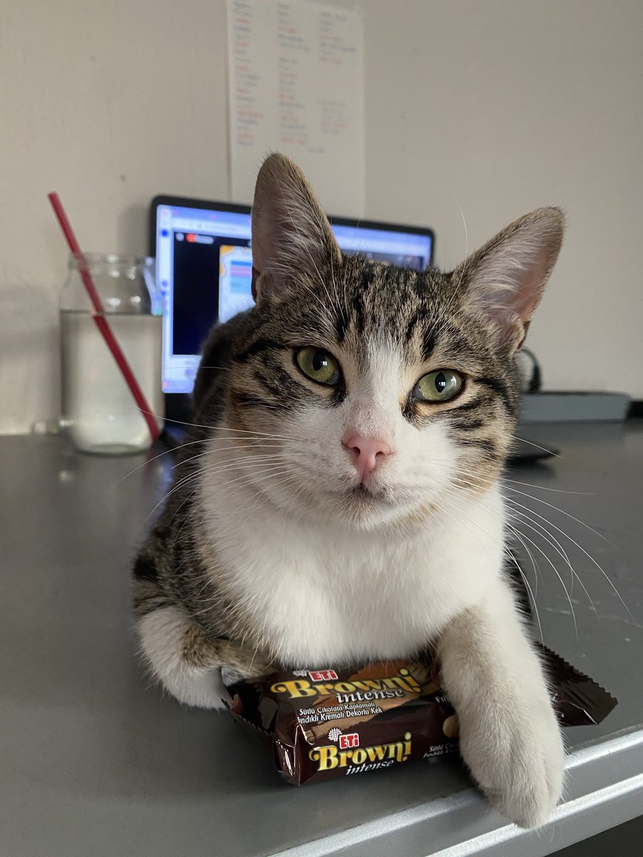 Arkadaşlar sadeçe eti alıyos, boykota defam