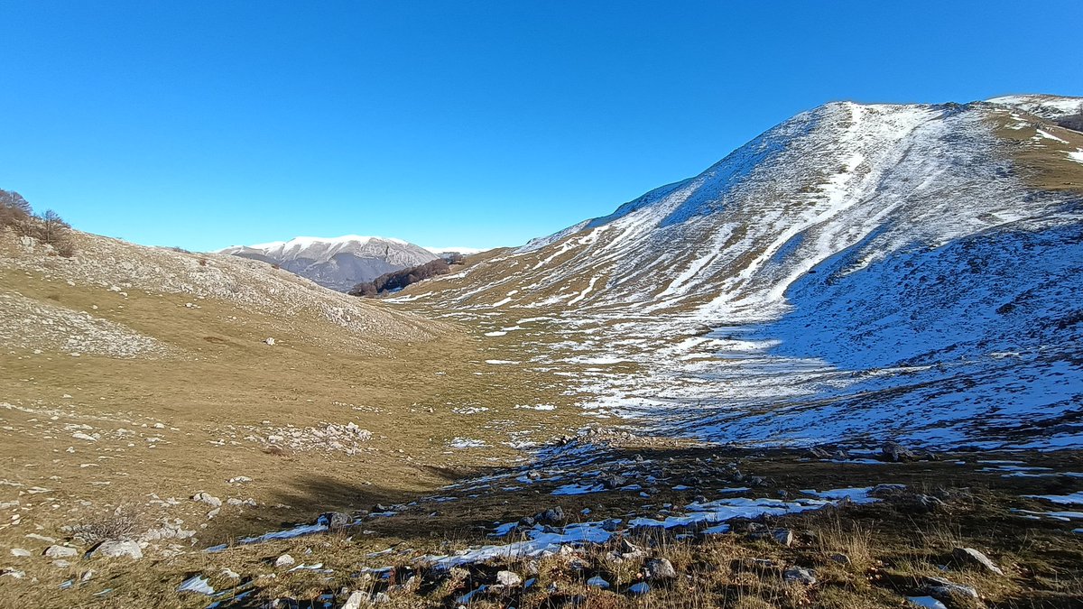 io non sono qui tweet media