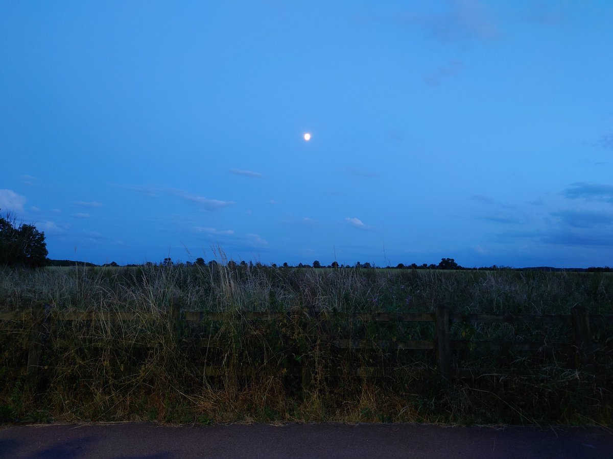 こんな感じでした。