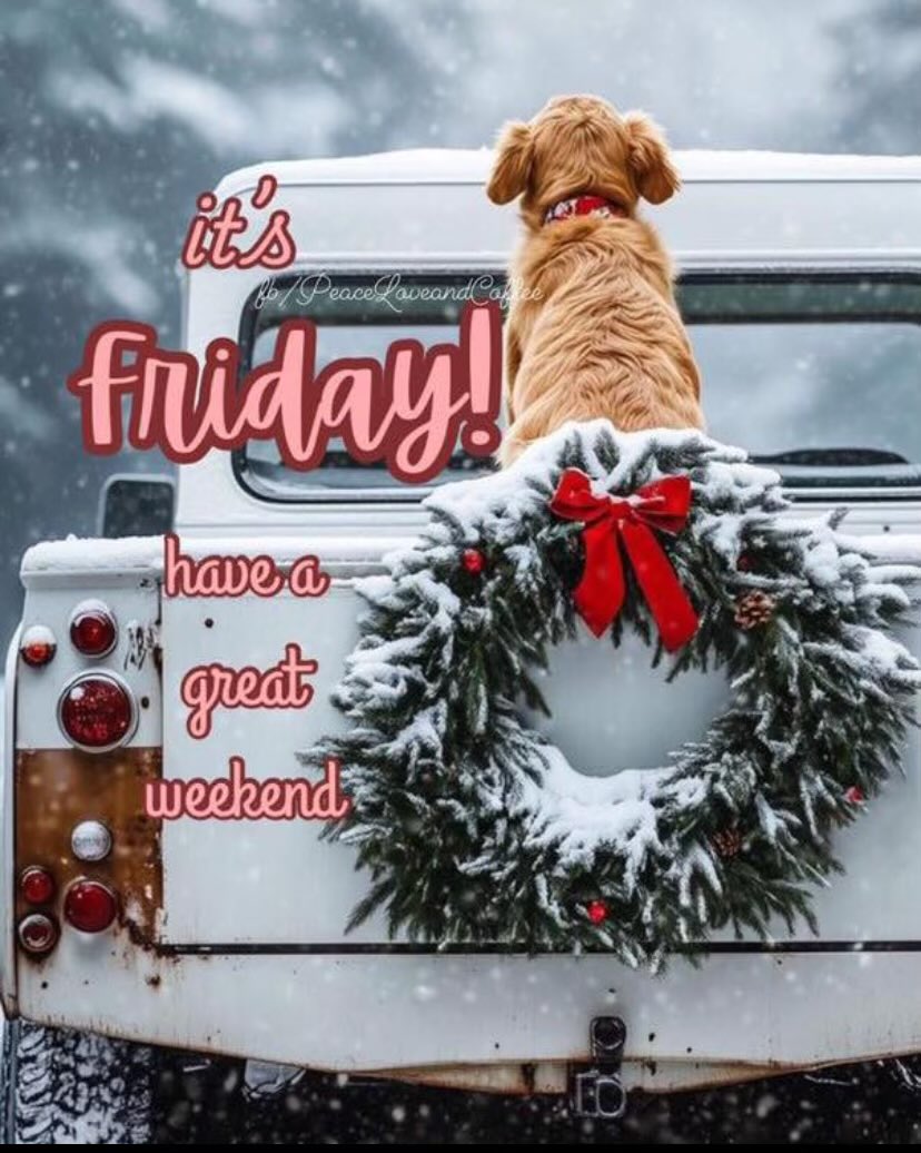 ⚜️JERRI⚜️ tweet media