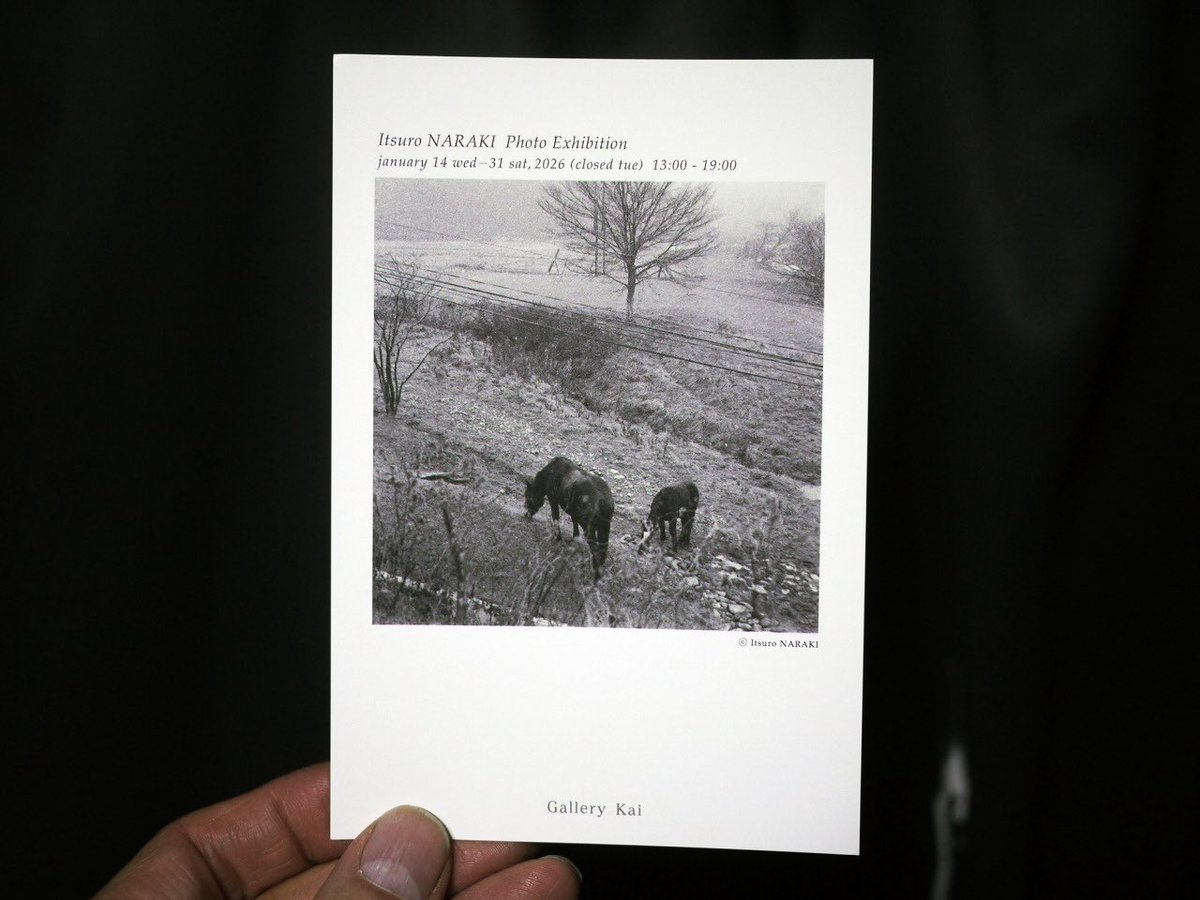 Gallery Kai (@gallery_kai) / Posts / X