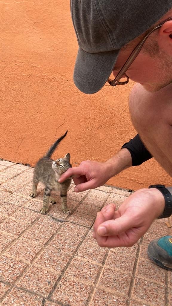 Valentin tweet media