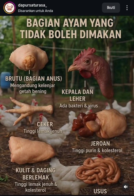 Bulu nya boleh dimakan ya bun?..